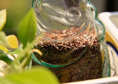 Nest Planter by Moi Keteki