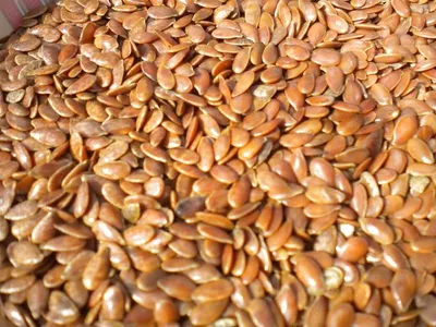 Alsi (Flaxseed) by DIVINE INTERNATIONAL