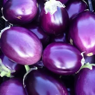 Jamun Honey