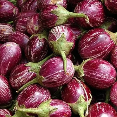 Red Cabbage Anthocyanins Cabbage 10 Kgs