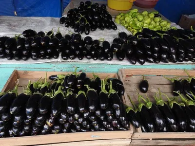 Pepper Balck And White