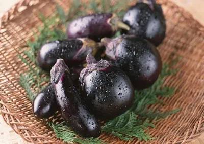 Black Grapes (Indian)