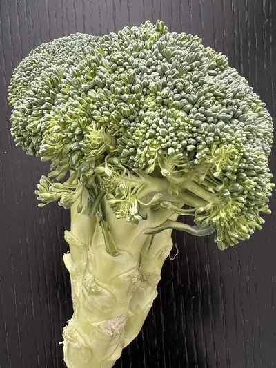 Brocoli