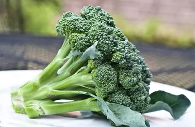 Broccoli