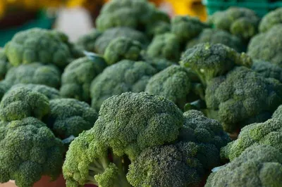 Brocolli Seeds