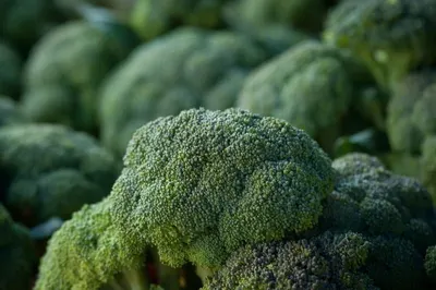 IQF broccoli