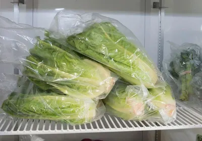Vegetables Vacuum Cooler Machine by Shenzhen Iceups Refrigeration Equipment Co., Ltd.