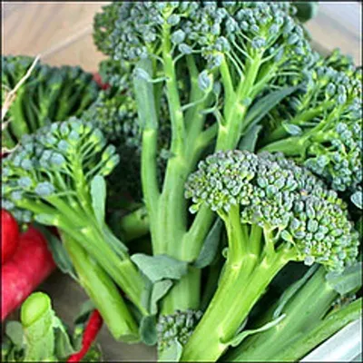 Broccoli Box