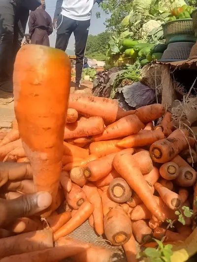 Juice Ande Vegetable Conservation