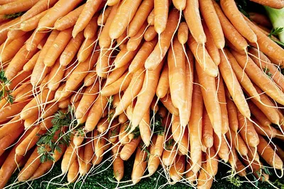 Baby Carrots