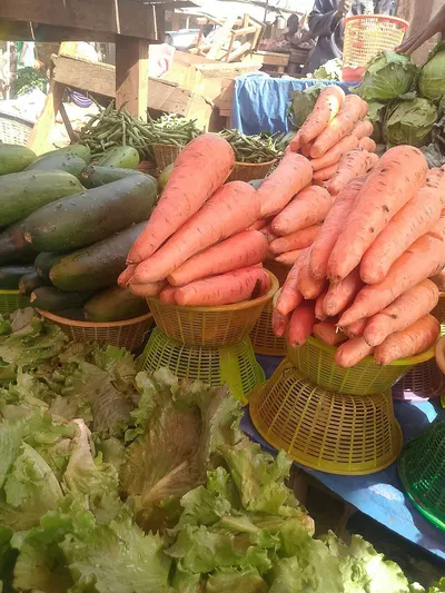 Avacado, Carrots, Cabbages, Potatoes