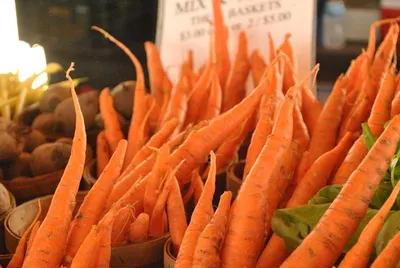 Carrot