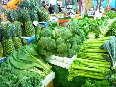 vegetable by FIMS Traders Co.