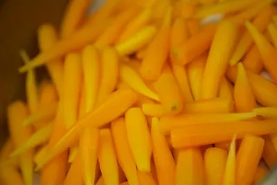 Macaroni