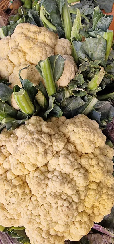 IQF Frozen Cauliflower