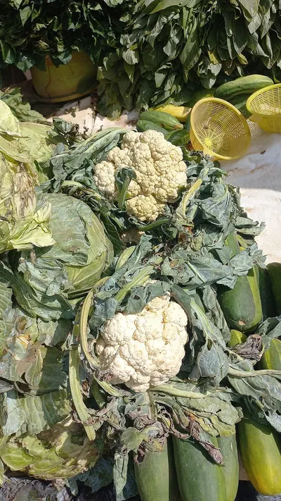 IQF cauliflower