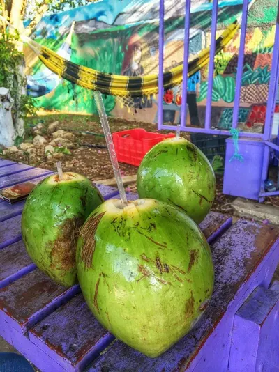 Coconut