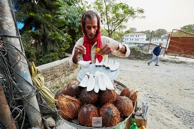 Curd Seller by Qexclusive Online Shop Private Limited