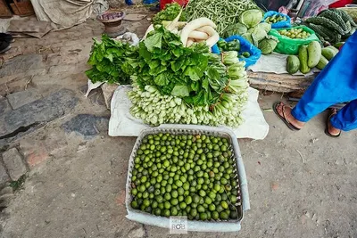 Kabula Mogra