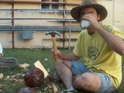 King Coconut