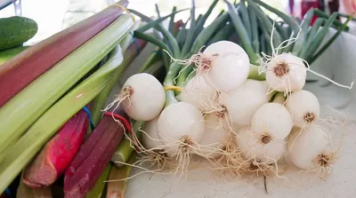 Fresh Onions