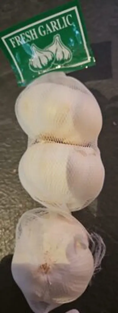 Garlic