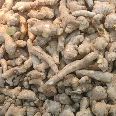 Fresh Certified Organic Ginger by Goodcare Management, LLC