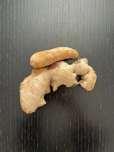 Elephant Ginger