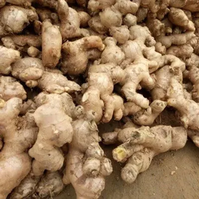 Fresh Ginger