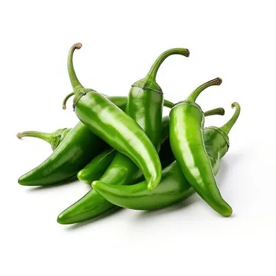 Green Capsicum by Morning Rise