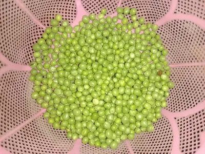Frozen green pea