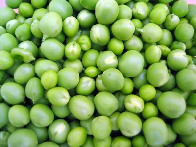 IQF Green Peas