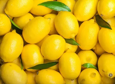 Tutone cuor di limone