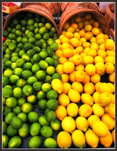 Fresh Citrus