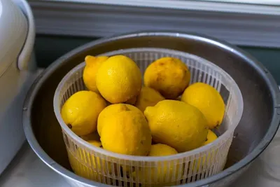Navel orange