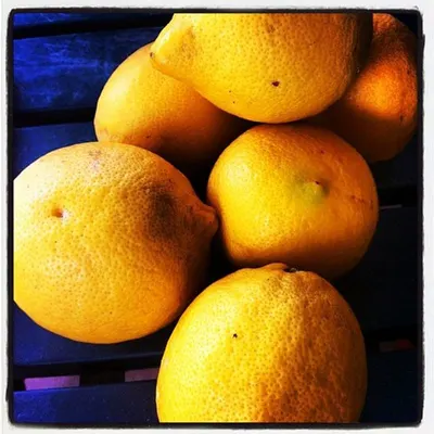 Assam Lemon (kaji Nemi)