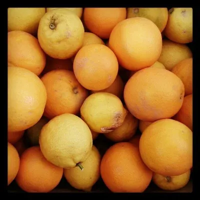 Fresh Seedless Lime