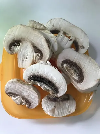 Canned Mushroom Pieces And Stems