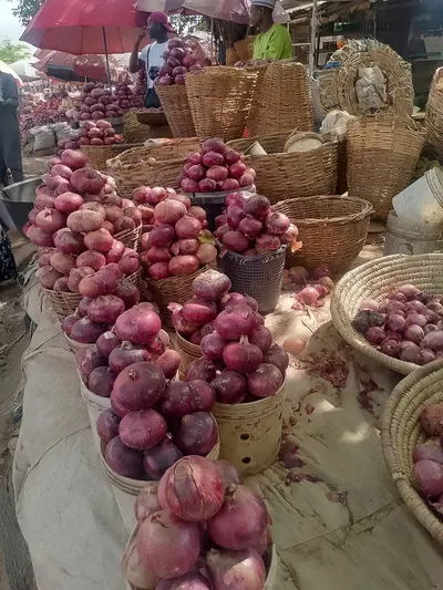 Bangalore Rose Onion
