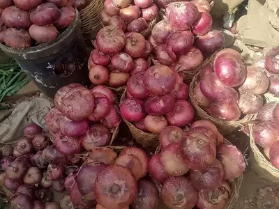 Onions