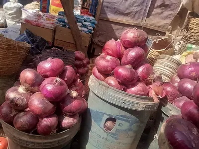 Red Onions