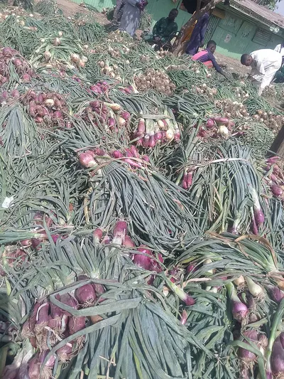 Spanish artichokes march