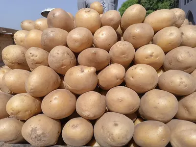Fresh Potato by Dlbbazar.com