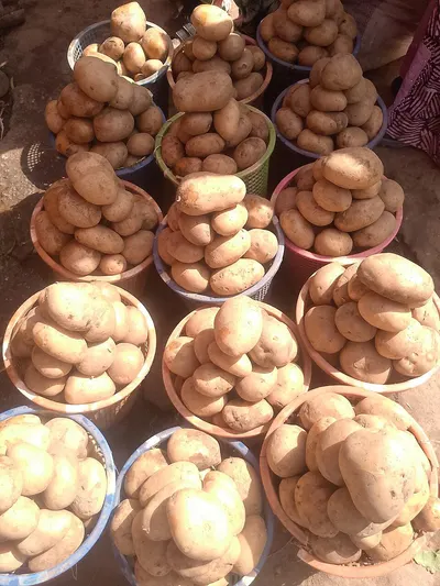 Fresh Chakki Atta