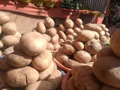Sweet Potatoes
