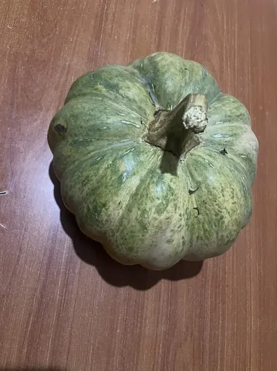 Fluted Pumpkin Leaves