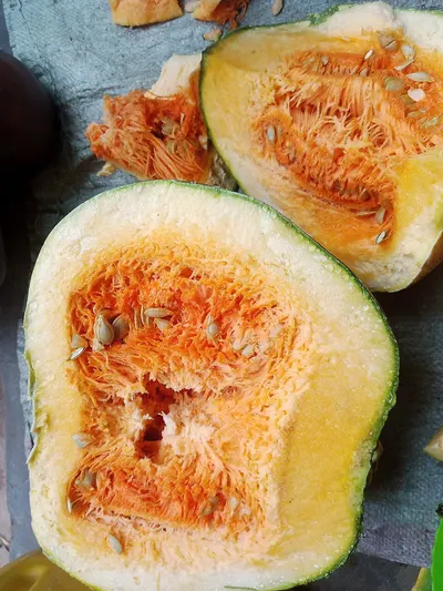 Papaya Pulp by Yesraj Enterprises