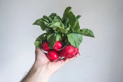 Punnets
