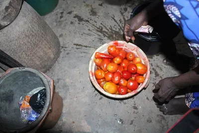Tomatoes