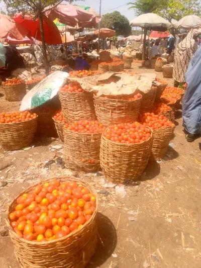 Tomato products